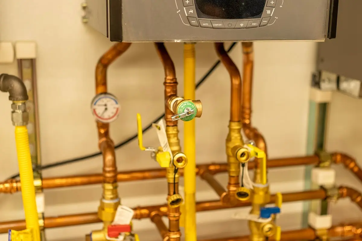 Licensed technician providing Sump Pump Repair for a homeowner in Montrose-Ghent